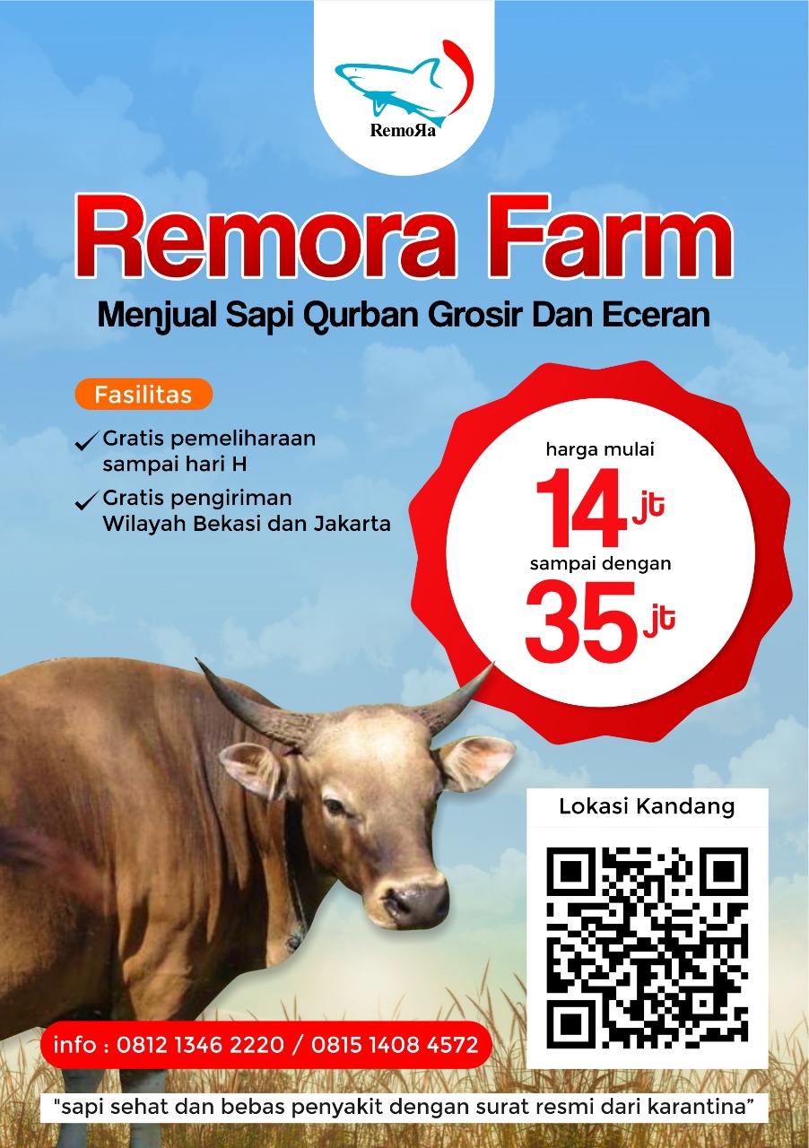 CV Remora Farm Sedikan Hewan Kurban Berkualitas Bebas PMK